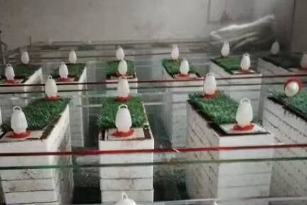 蜈蚣的飼料有哪些呢？大家知道嗎？